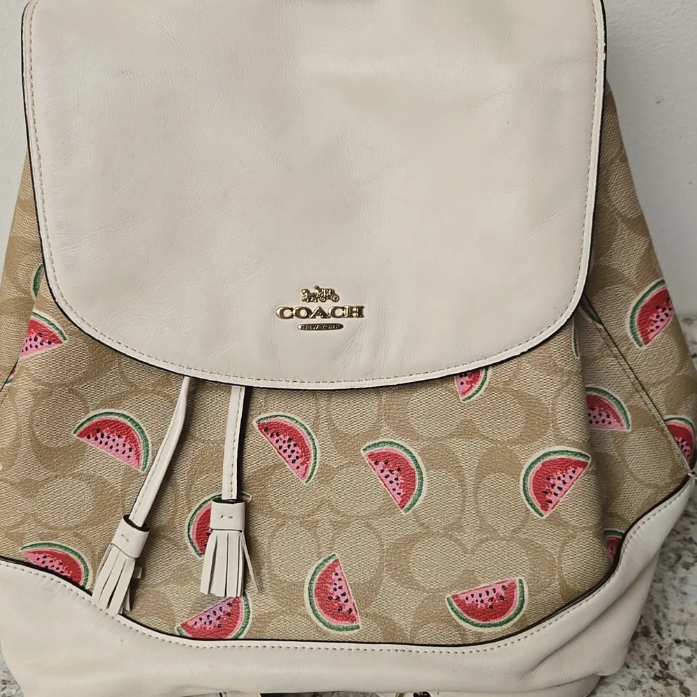 Coach Backpack - Picture 3 of 16